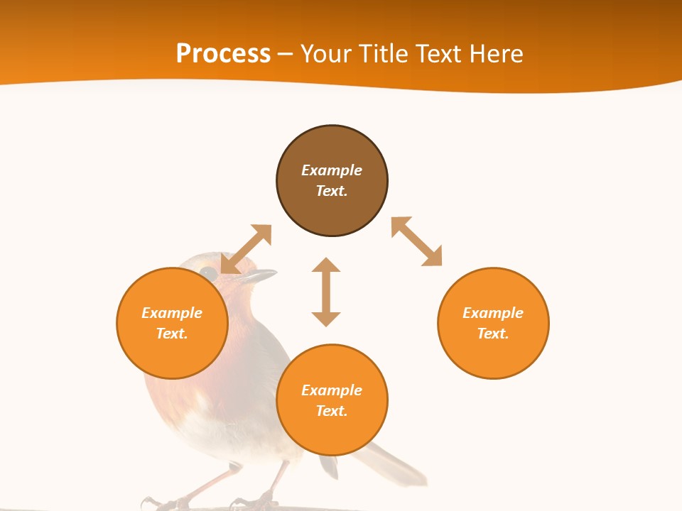 Close Perched Sing PowerPoint Template