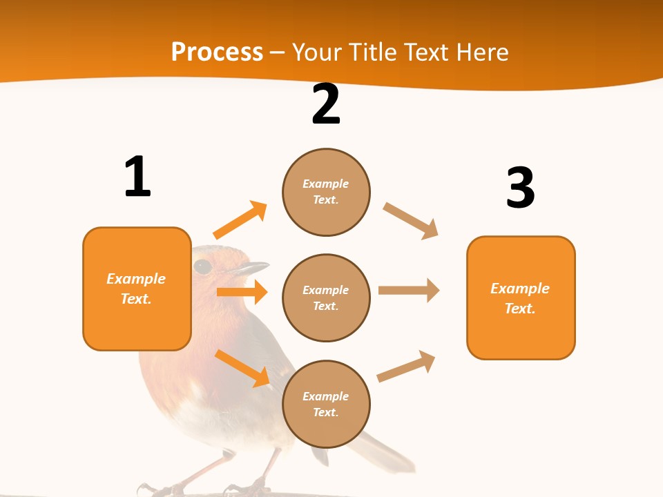 Close Perched Sing PowerPoint Template