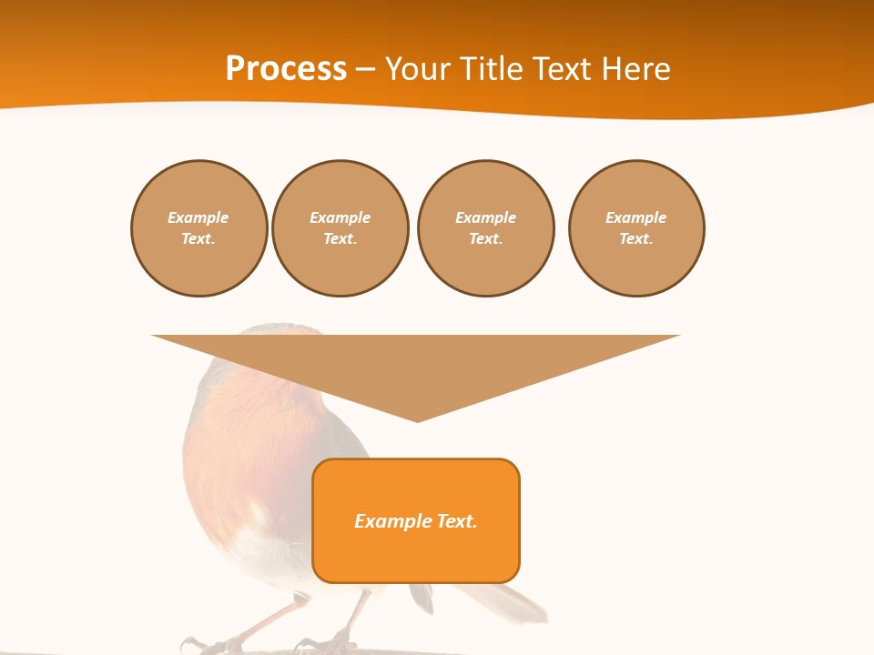 Close Perched Sing PowerPoint Template