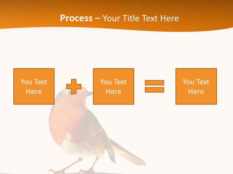 Close Perched Sing PowerPoint Template