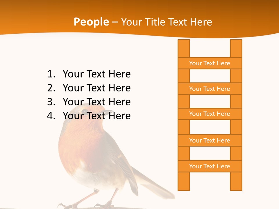 Close Perched Sing PowerPoint Template
