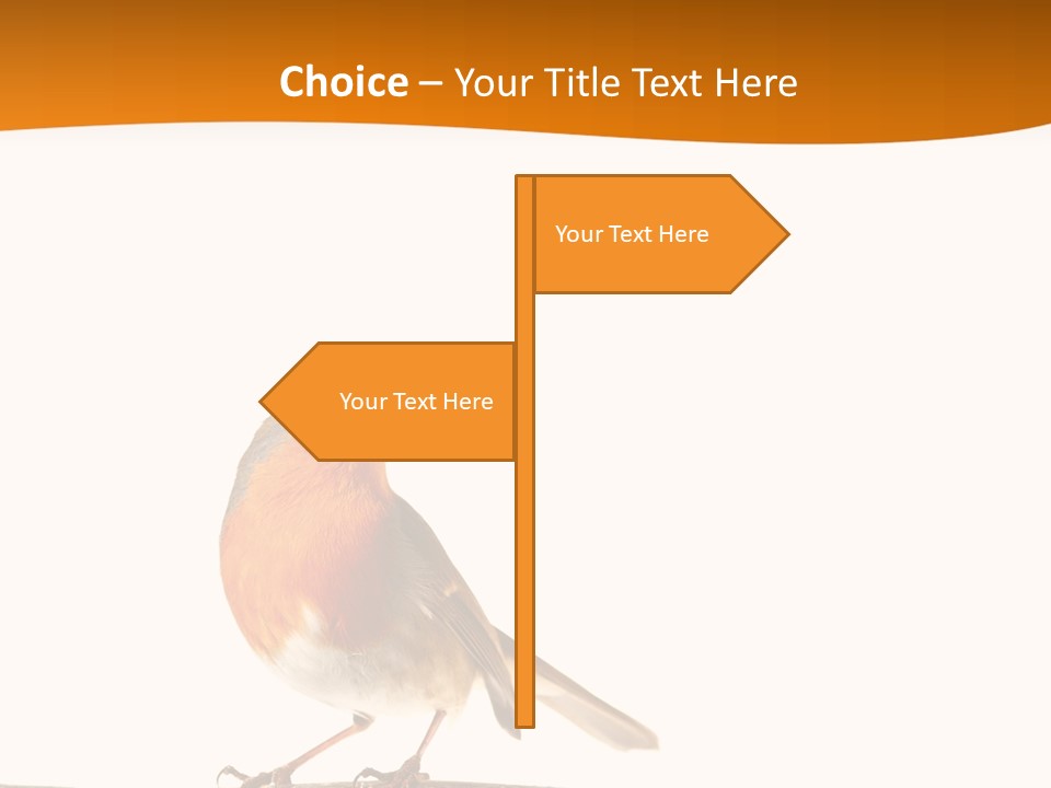 Close Perched Sing PowerPoint Template