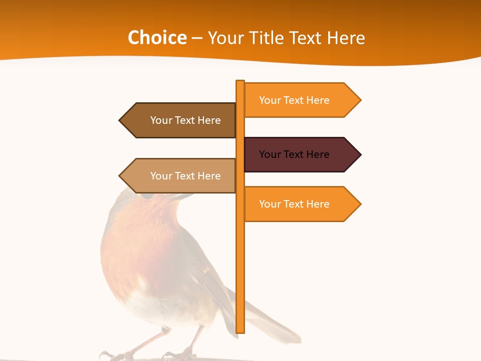 Close Perched Sing PowerPoint Template