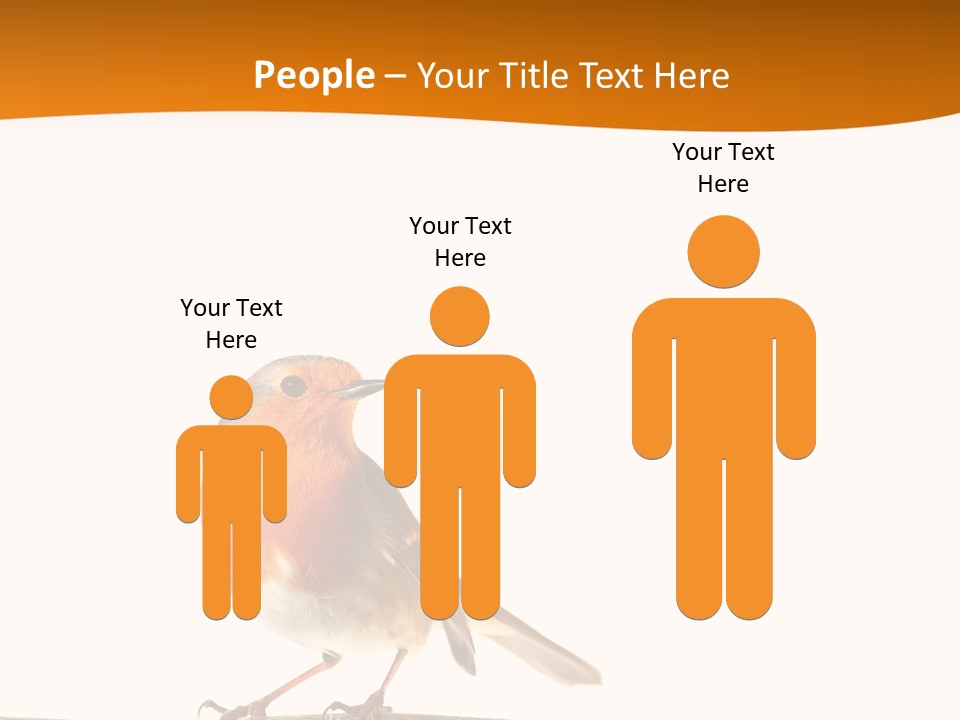 Close Perched Sing PowerPoint Template