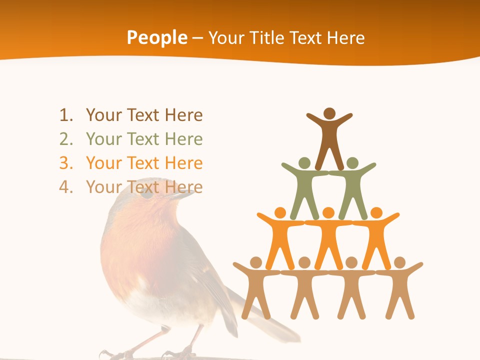 Close Perched Sing PowerPoint Template