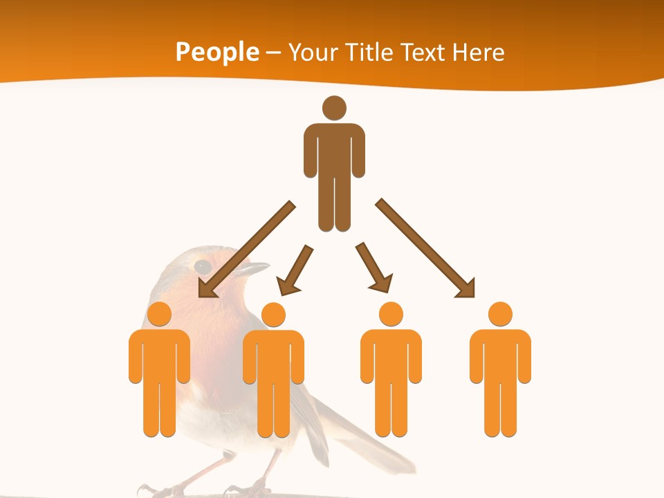 Close Perched Sing PowerPoint Template