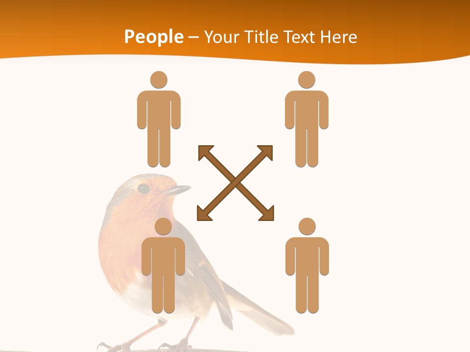 Close Perched Sing PowerPoint Template