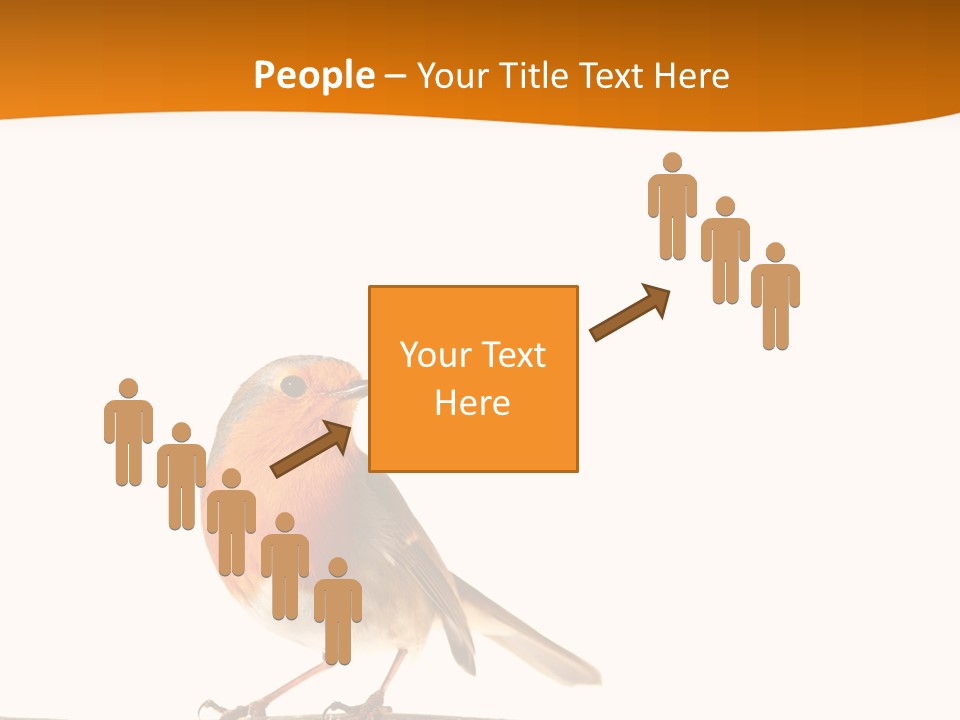 Close Perched Sing PowerPoint Template