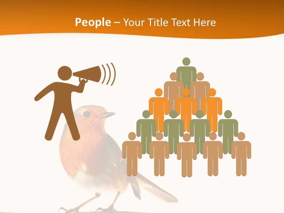 Close Perched Sing PowerPoint Template