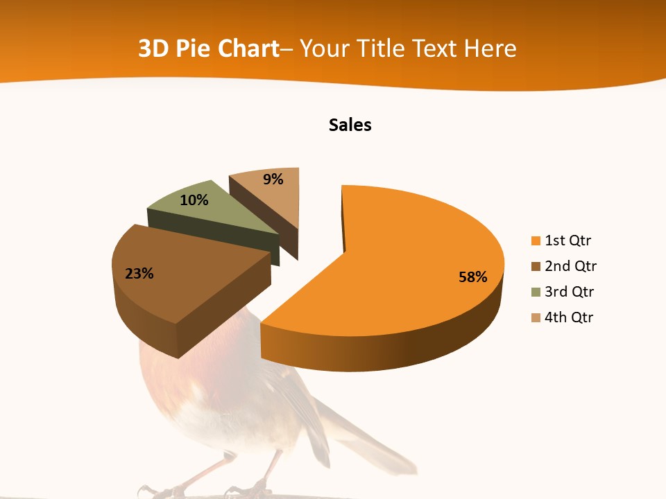 Close Perched Sing PowerPoint Template