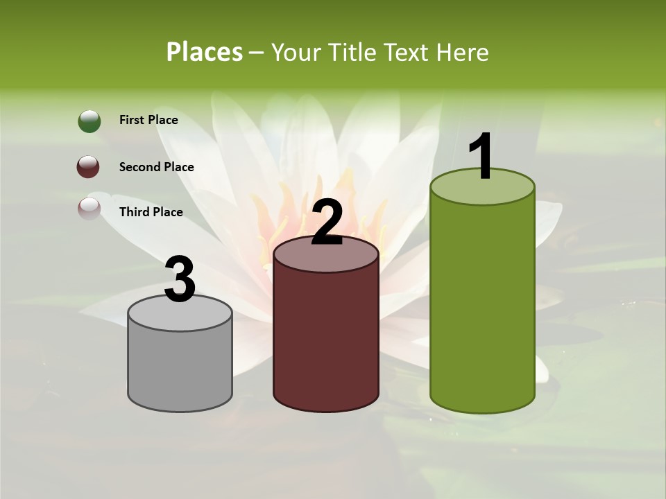 White Water Lily PowerPoint Template