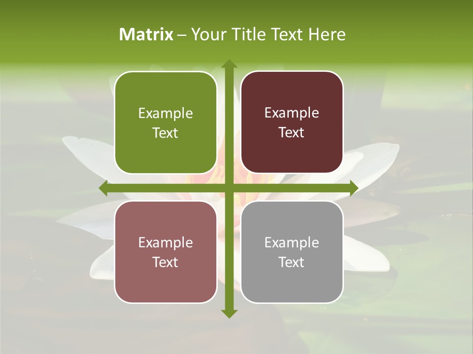 White Water Lily PowerPoint Template