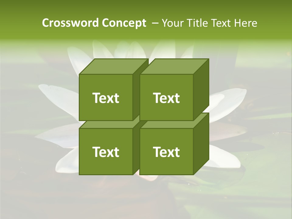 White Water Lily PowerPoint Template