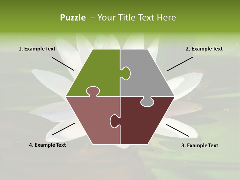 White Water Lily PowerPoint Template