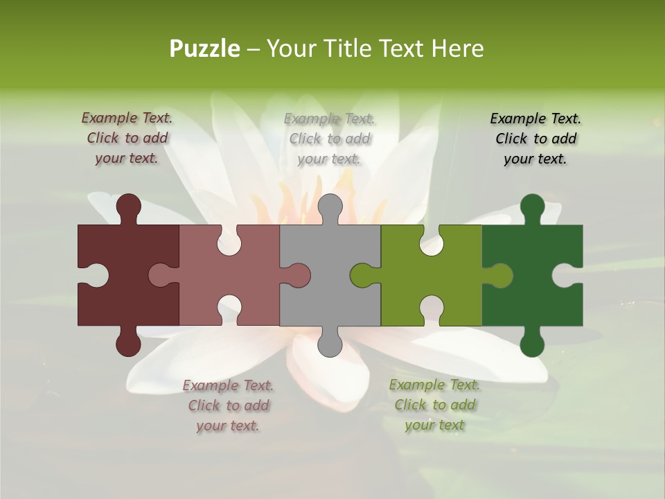 White Water Lily PowerPoint Template