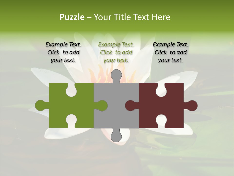 White Water Lily PowerPoint Template