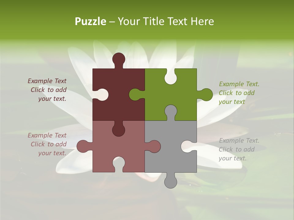 White Water Lily PowerPoint Template