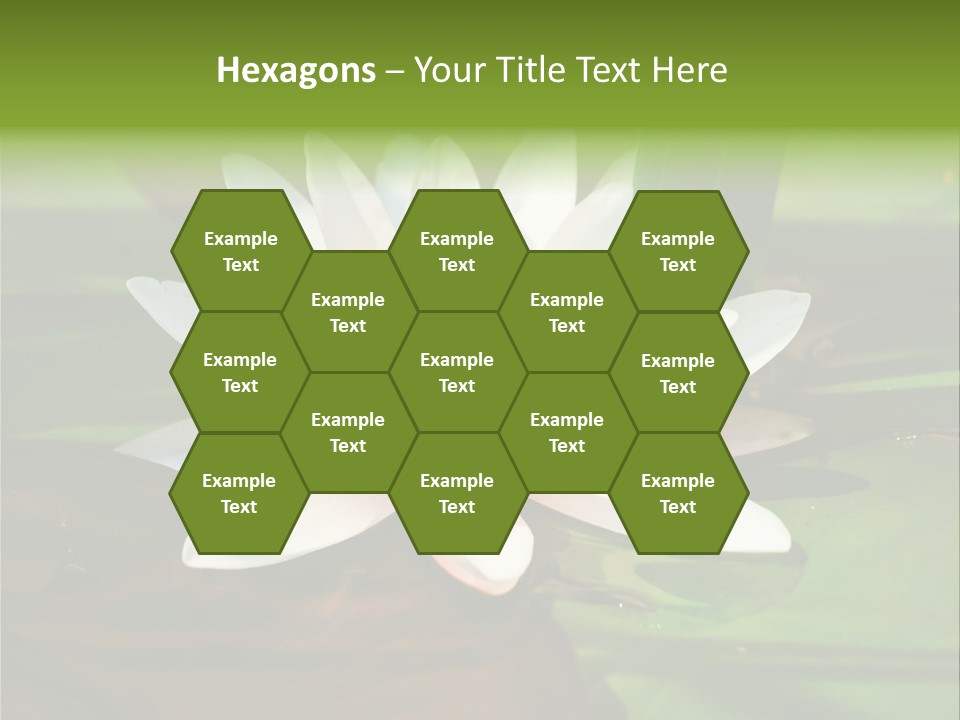 White Water Lily PowerPoint Template