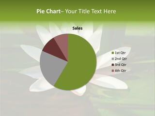 White Water Lily PowerPoint Template