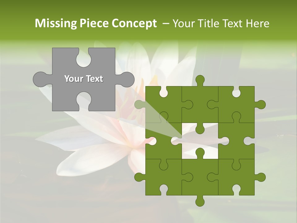 White Water Lily PowerPoint Template