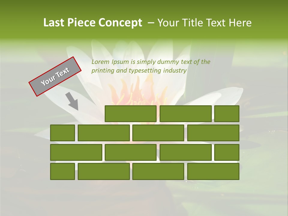 White Water Lily PowerPoint Template