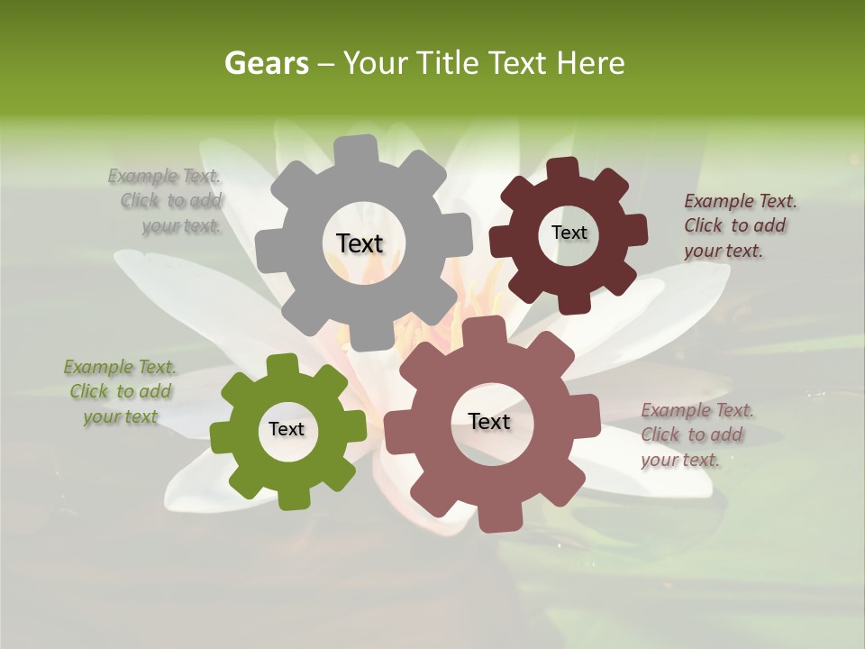 White Water Lily PowerPoint Template