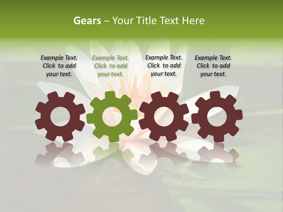 White Water Lily PowerPoint Template