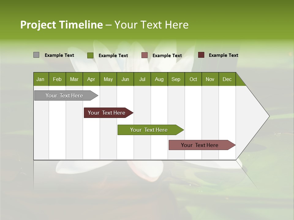 White Water Lily PowerPoint Template