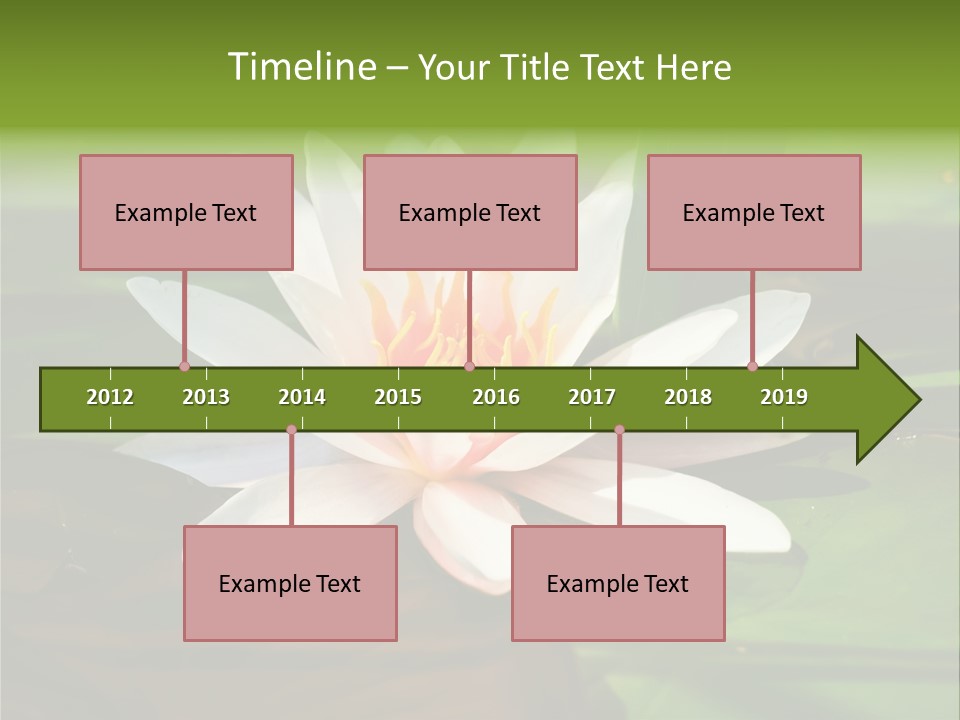 White Water Lily PowerPoint Template