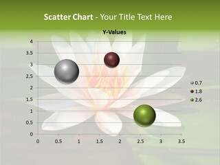 White Water Lily PowerPoint Template