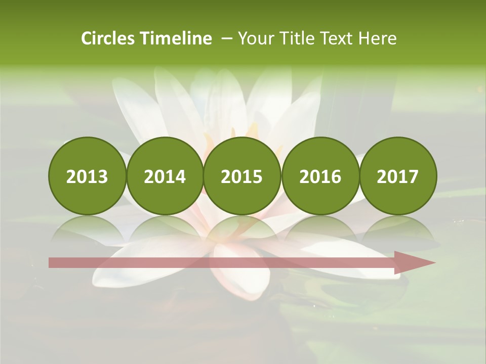 White Water Lily PowerPoint Template