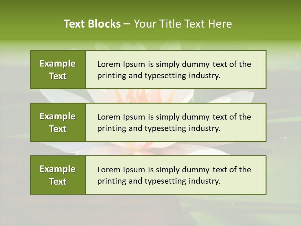 White Water Lily PowerPoint Template