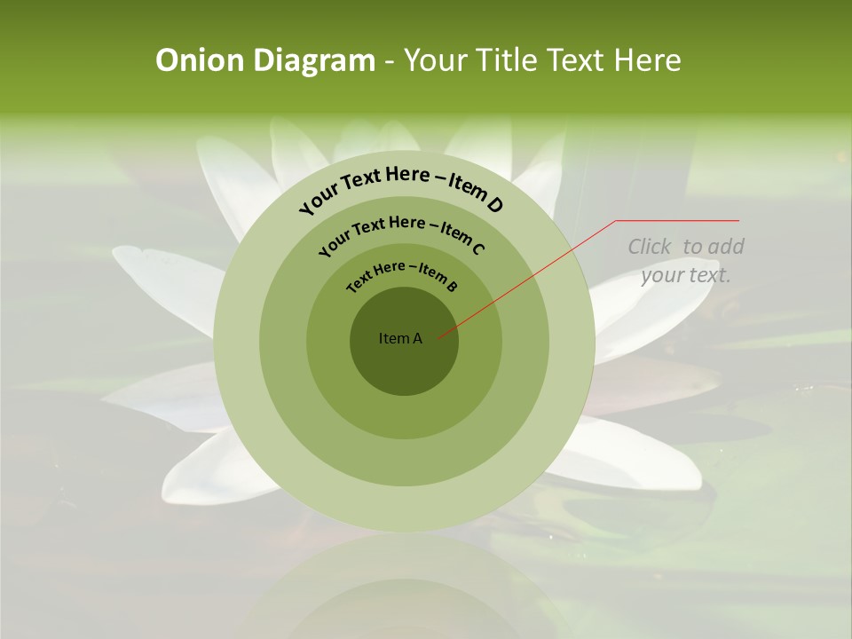White Water Lily PowerPoint Template