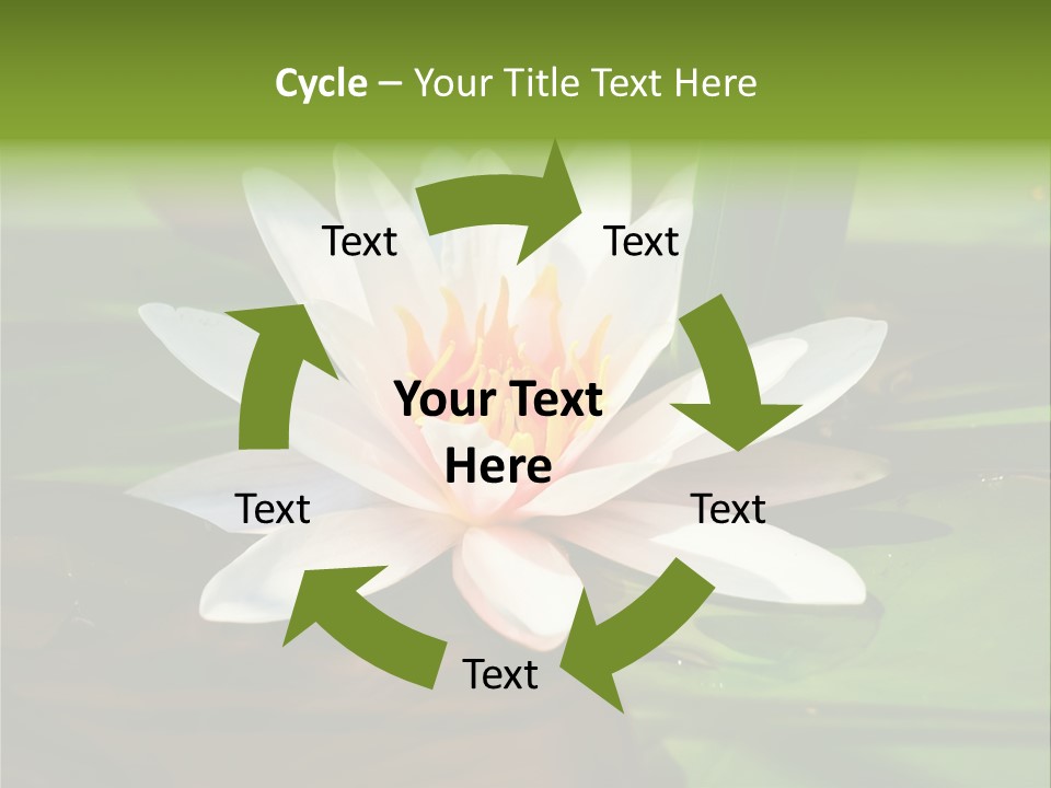 White Water Lily PowerPoint Template