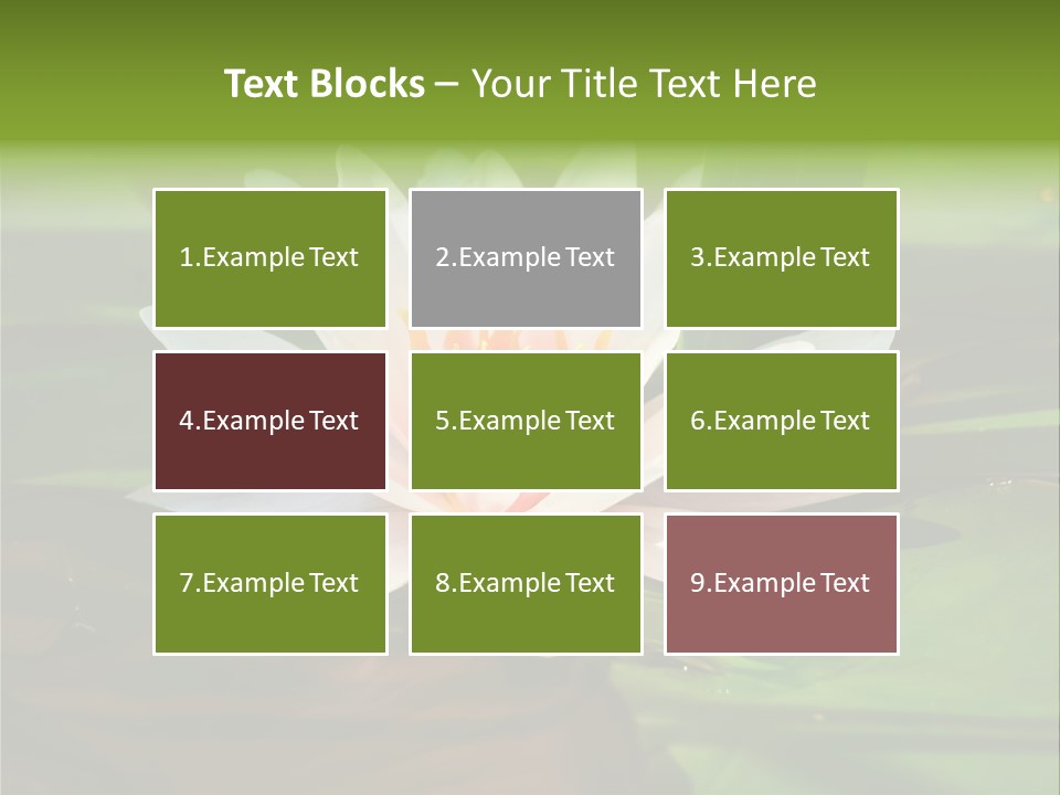 White Water Lily PowerPoint Template