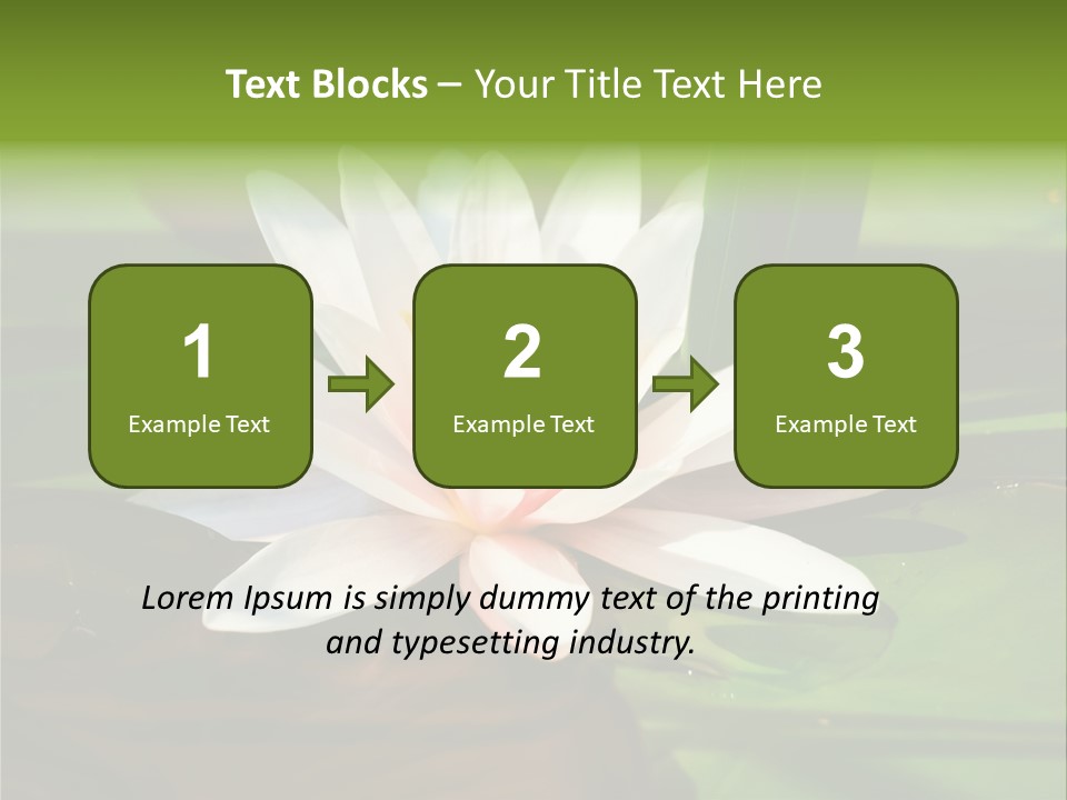 White Water Lily PowerPoint Template
