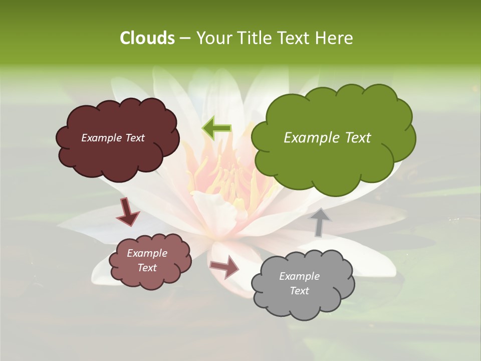 White Water Lily PowerPoint Template