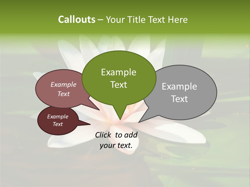 White Water Lily PowerPoint Template