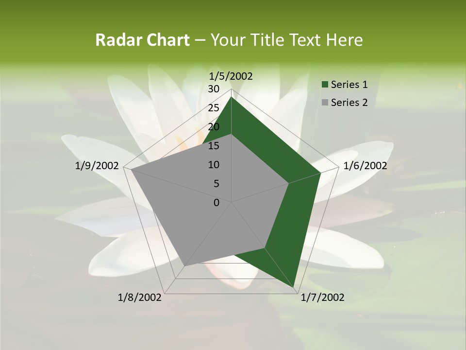 White Water Lily PowerPoint Template