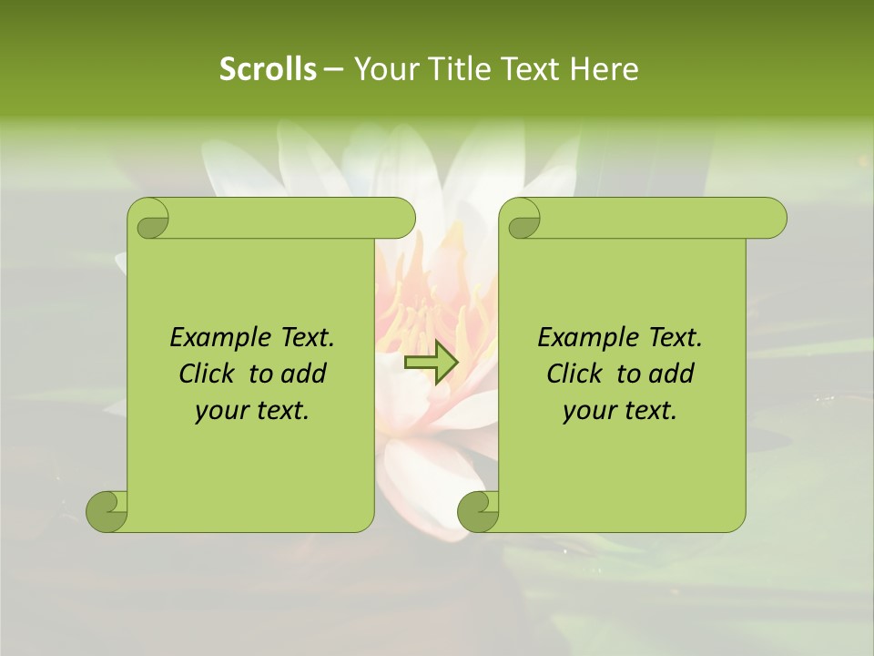 White Water Lily PowerPoint Template