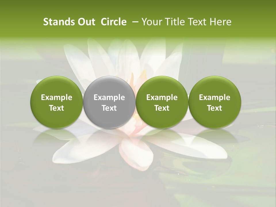 White Water Lily PowerPoint Template