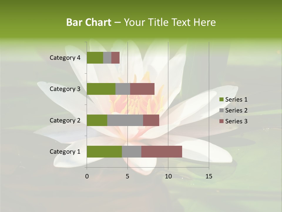 White Water Lily PowerPoint Template