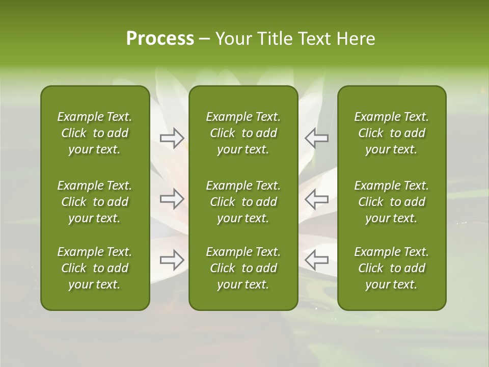 White Water Lily PowerPoint Template