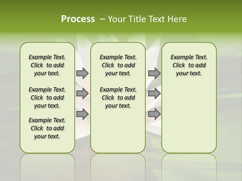 White Water Lily PowerPoint Template