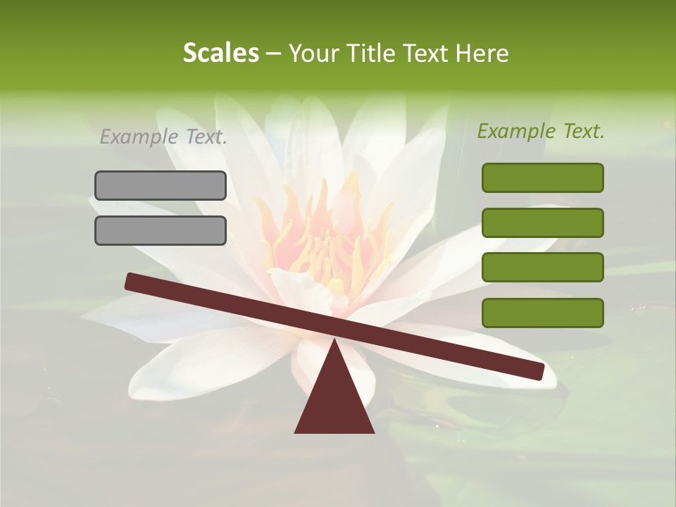 White Water Lily PowerPoint Template