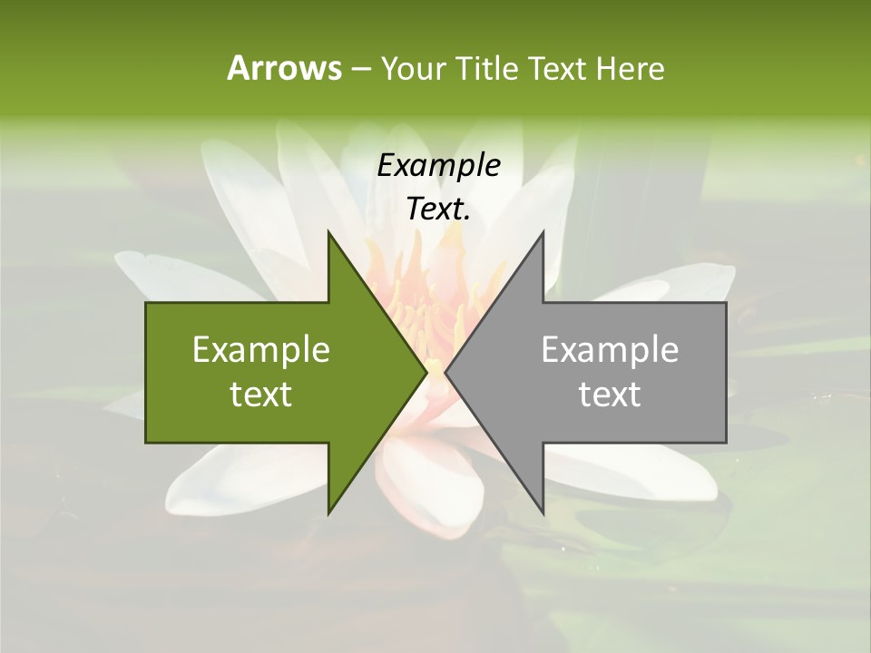 White Water Lily PowerPoint Template