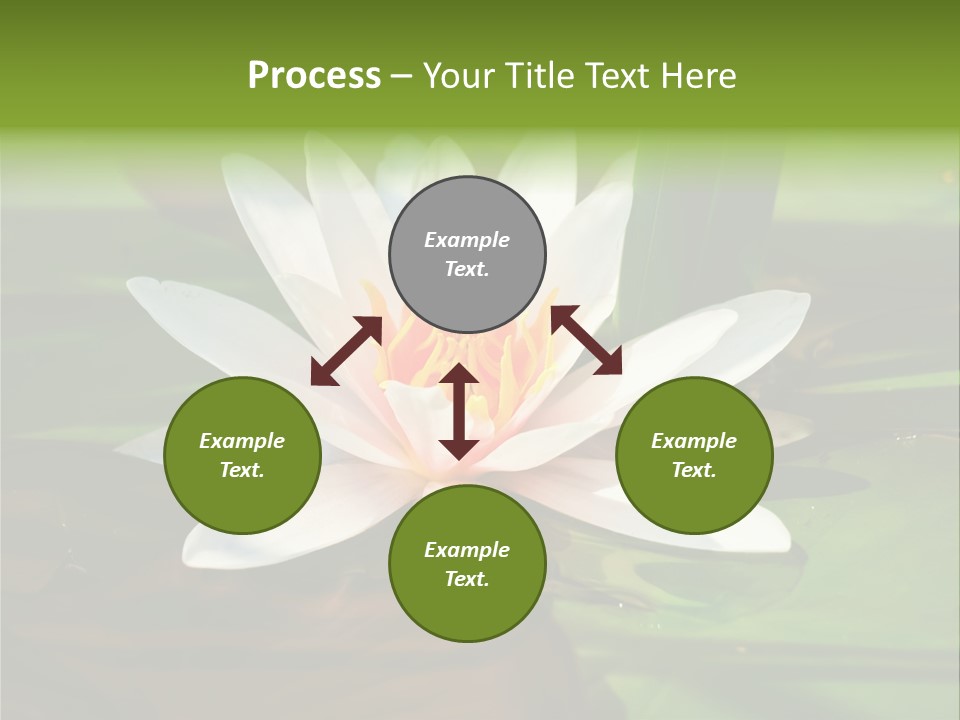 White Water Lily PowerPoint Template