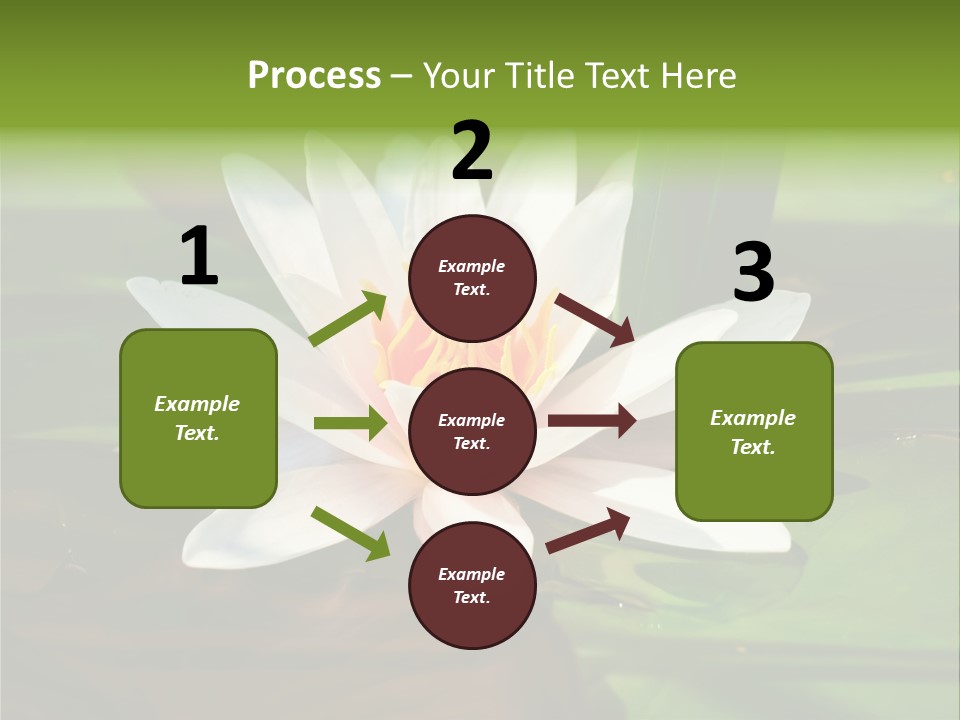 White Water Lily PowerPoint Template