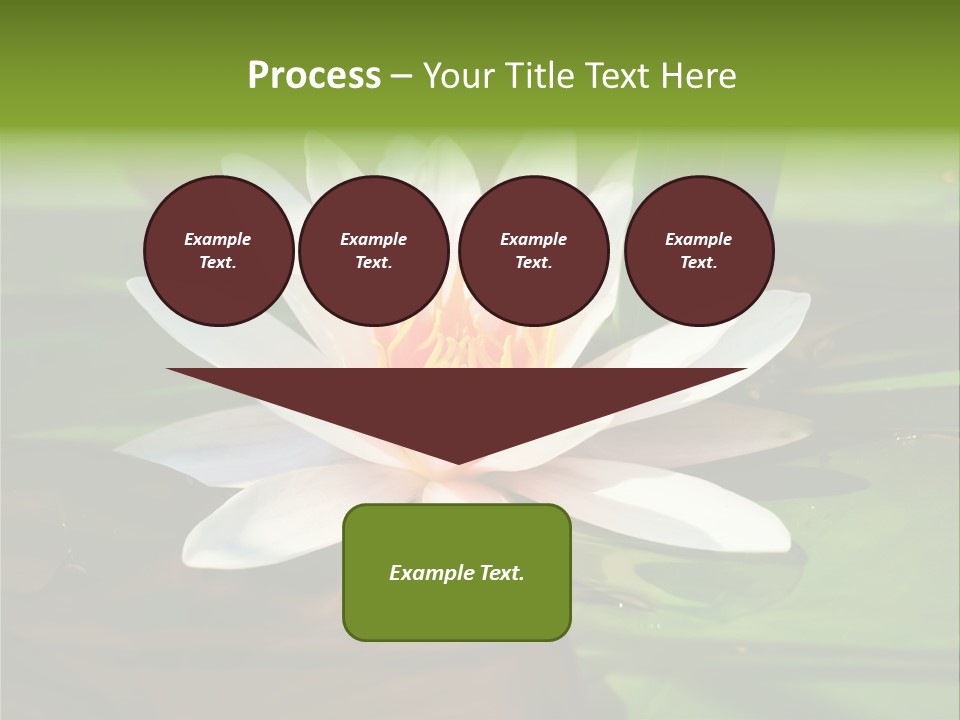 White Water Lily PowerPoint Template