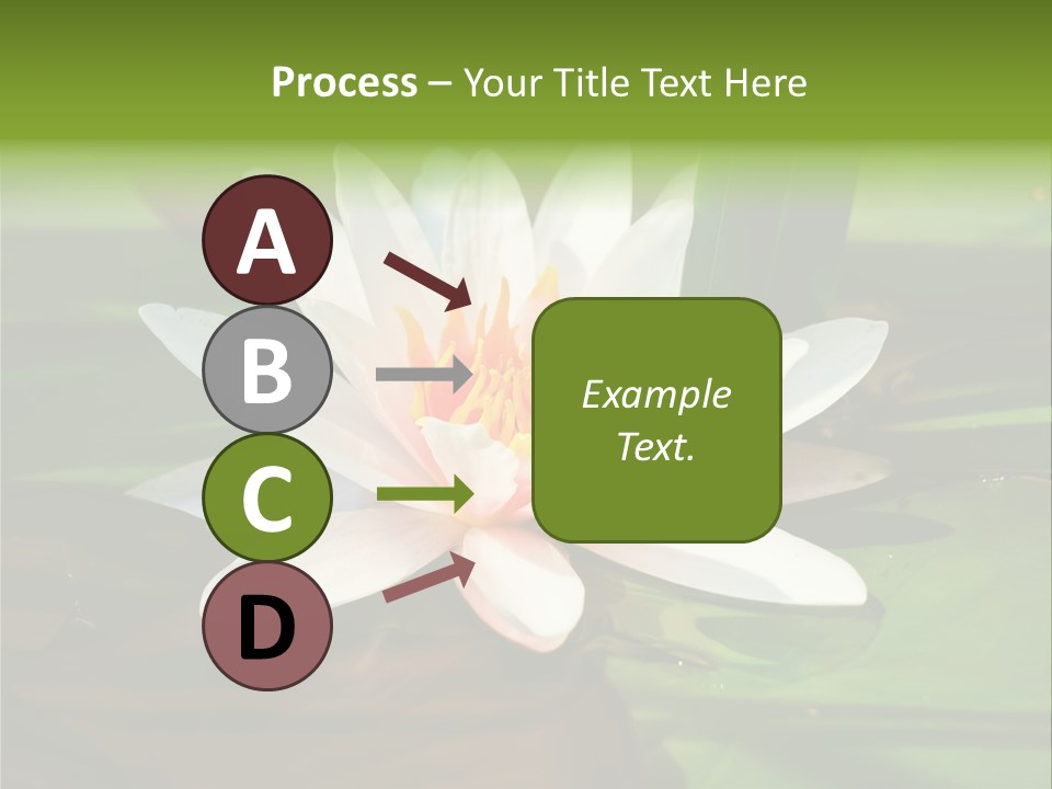White Water Lily PowerPoint Template